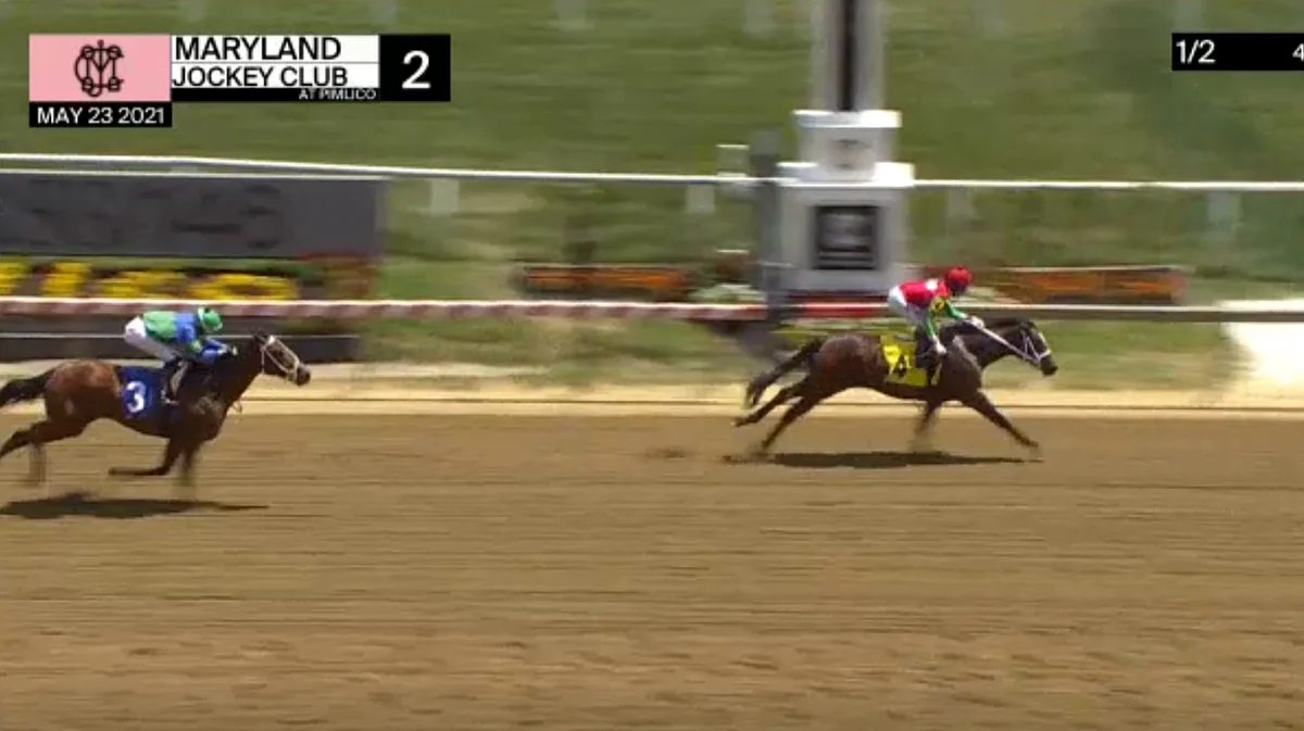 Horses to Watch for May 29, 2021.