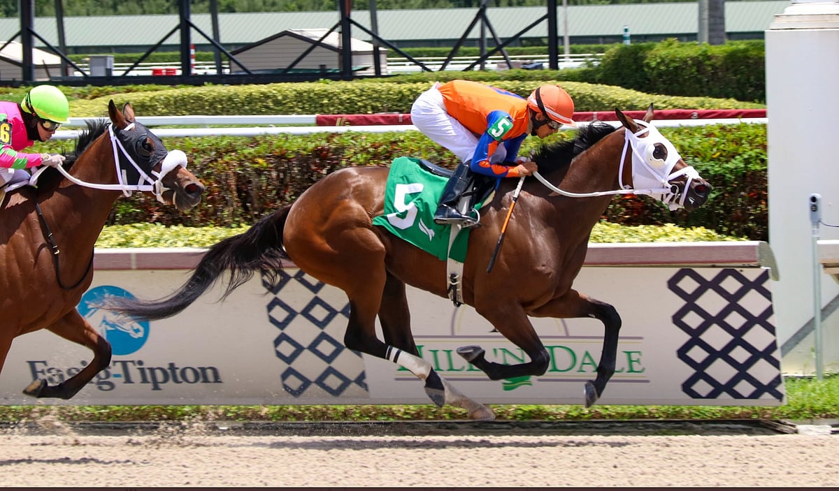 Gulfstream Park Sunday God S Tipster Picks The 3rd 8th And 9th Races From Sunny Florida