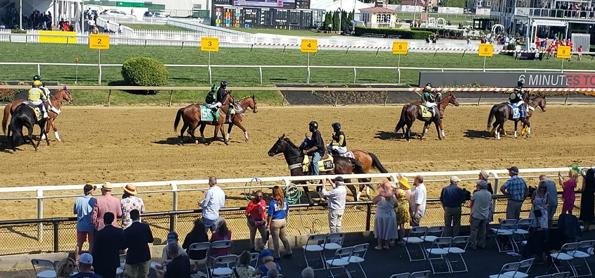 Pre-race at Pimlico.