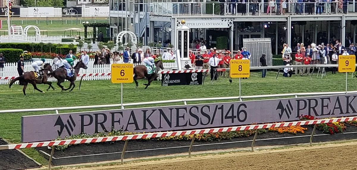 The big bet of the weekend. I put everything I had, other than $100 (cab money just in case) on Mean Mary in The Gallorette. She won handily.