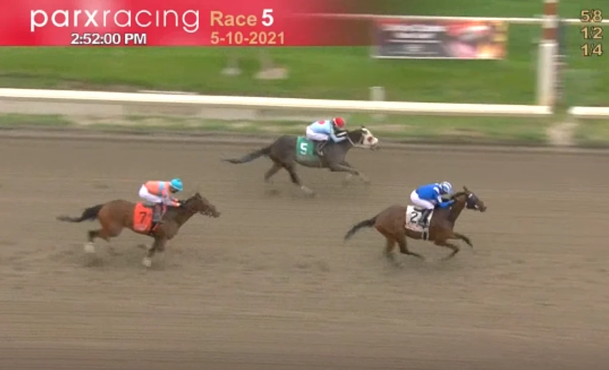 Horses to Watch: May 22, 2021.