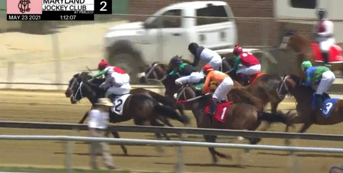Horses to Watch for May 29, 2021.