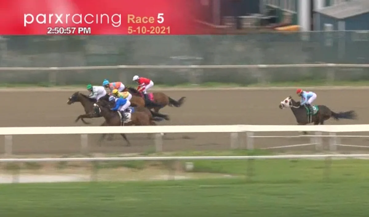 Horses to Watch: May 22, 2021.