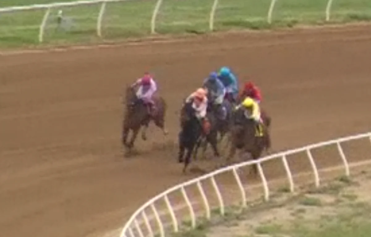 Horses to Watch for May 29, 2021.