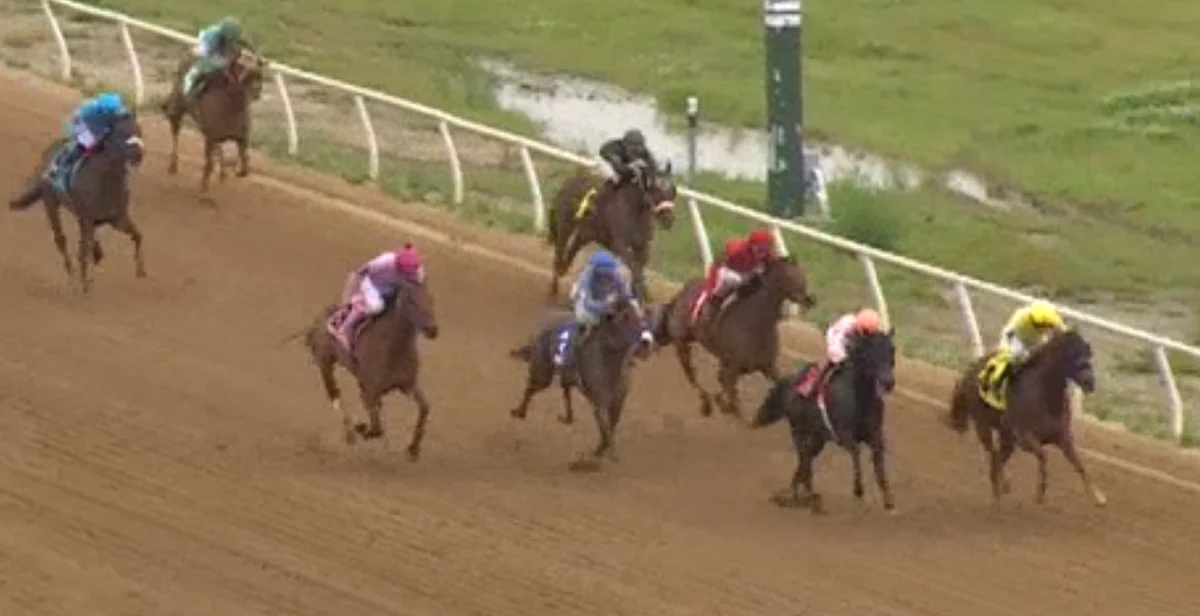 Horses to Watch for May 29, 2021.