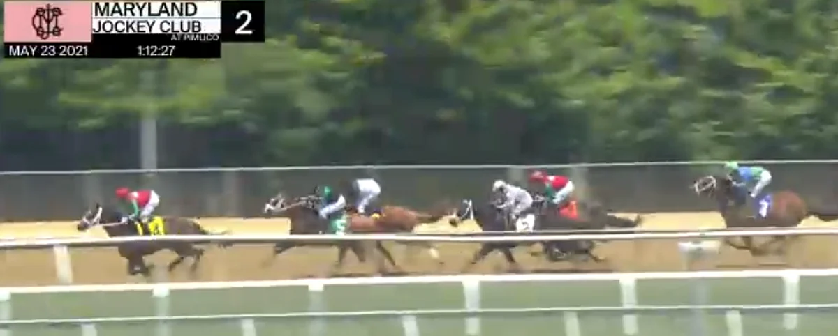 Horses to Watch for May 29, 2021.