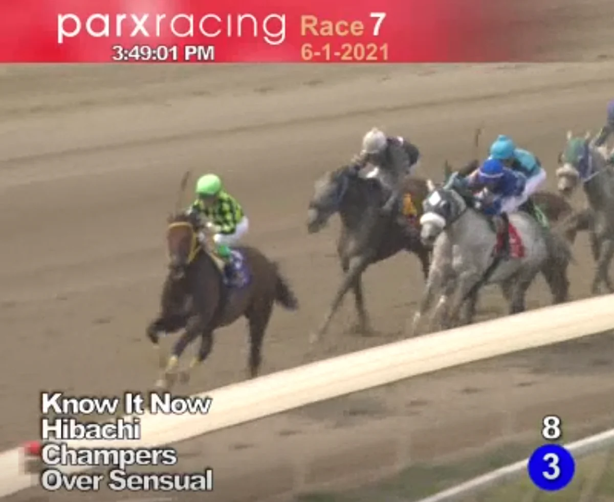 Horses to Watch June 5, 2021.