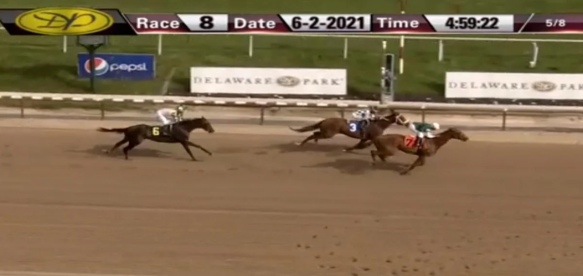 Horses to Watch June 5, 2021.