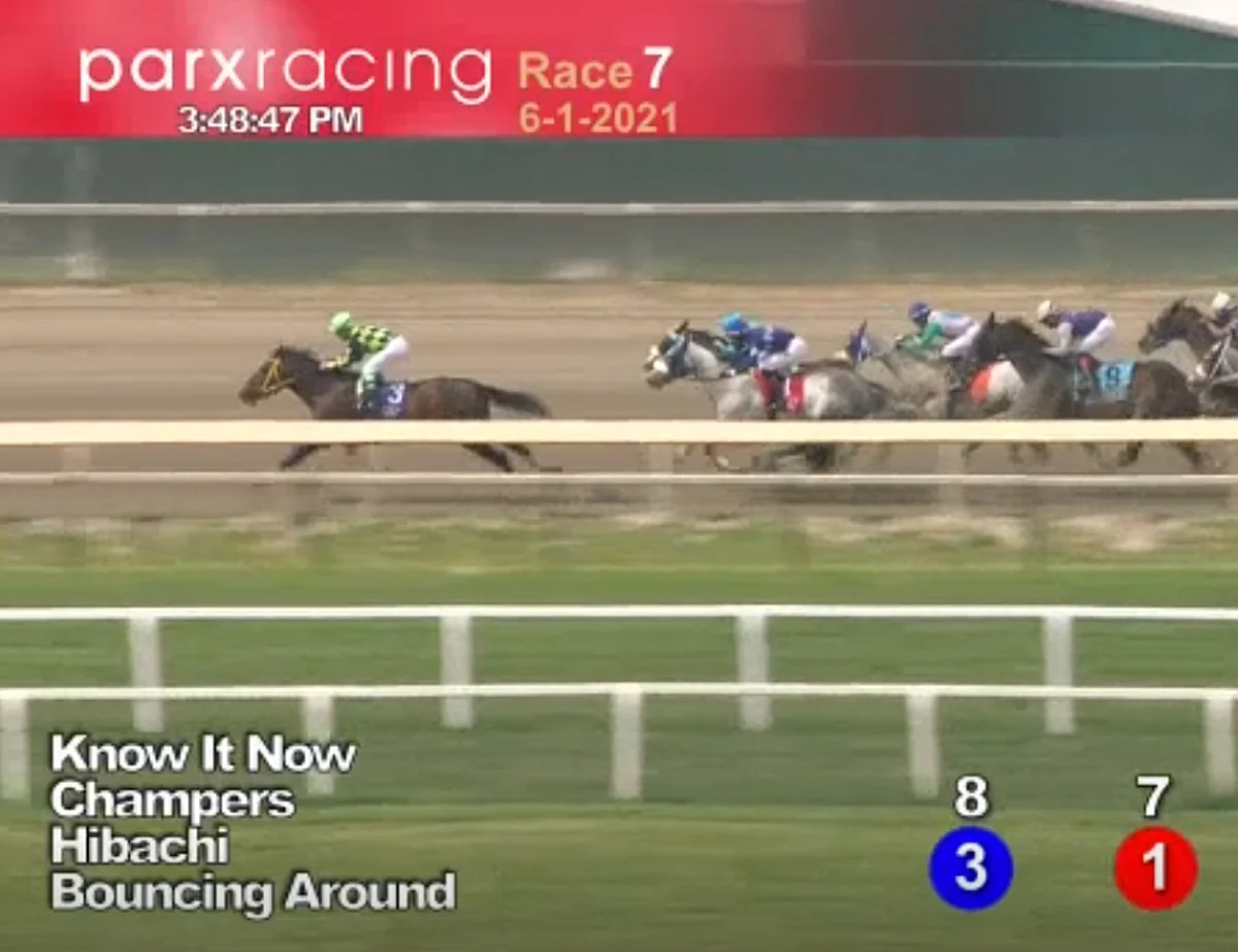 Horses to Watch June 5, 2021.