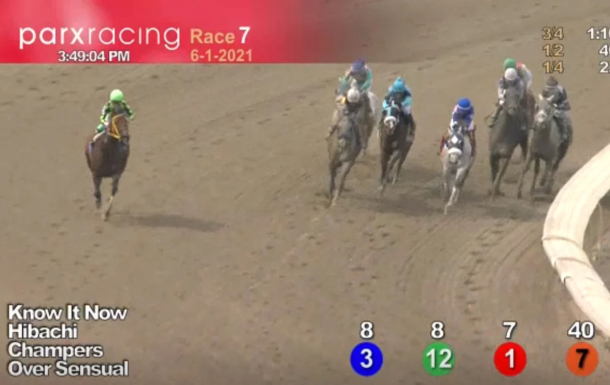 Horses to Watch June 5, 2021.