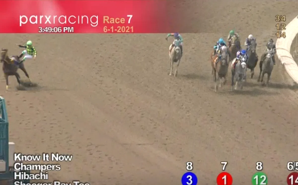 Horses to Watch June 5, 2021.
