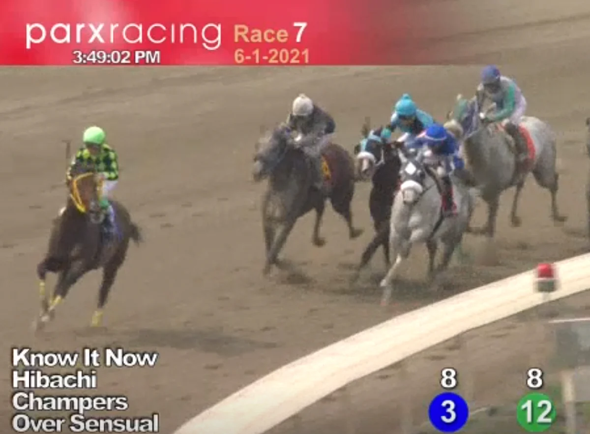 Horses to Watch June 5, 2021.