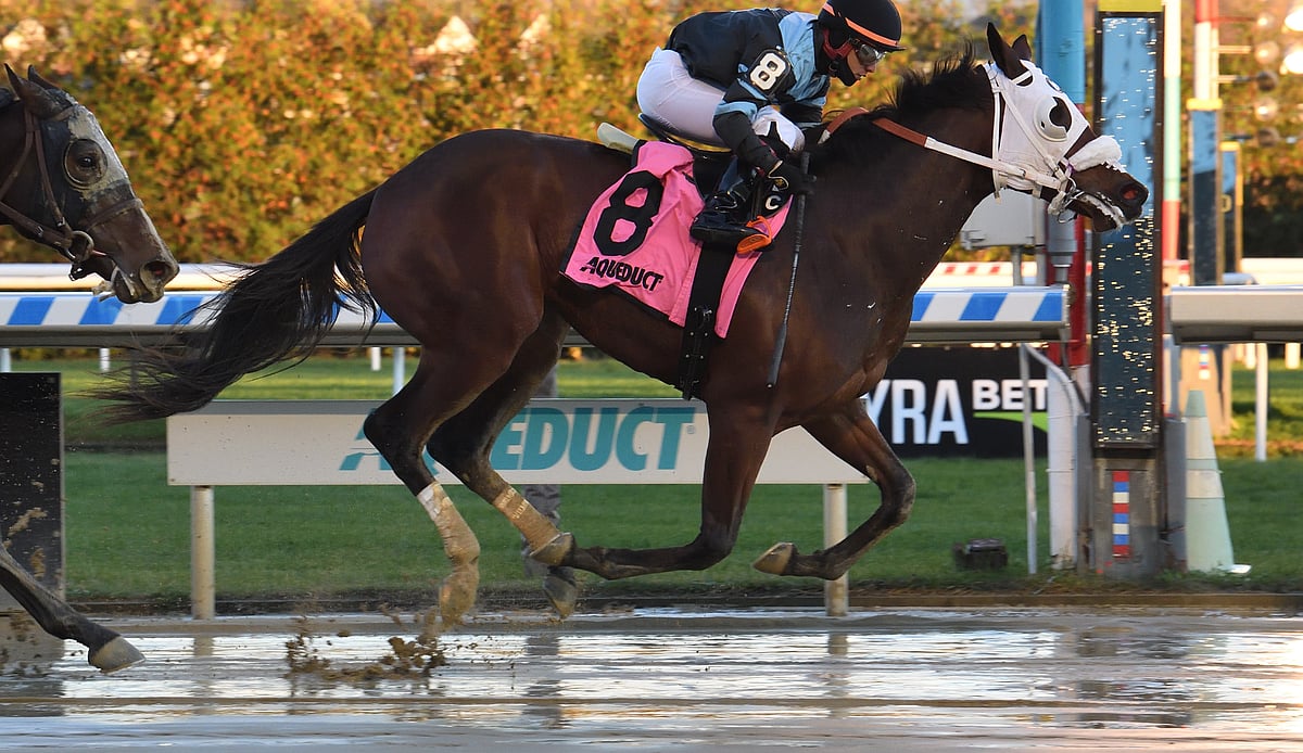 Garrity's Sunday Horse Racing Picks: 2 at Churchill Downs and a longshot in  the Bongard Stakes at Aqueduct