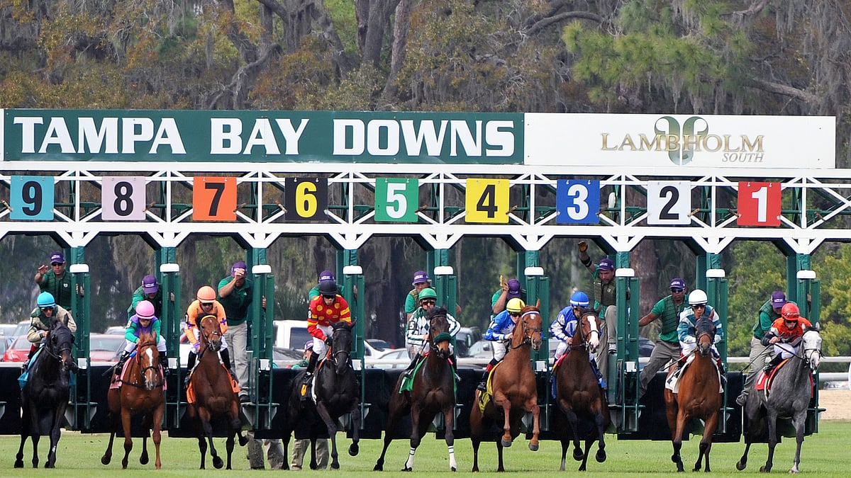 Wednesday 12.1 Tampa Bay Downs Picks God's Tipster handicaps the 1st