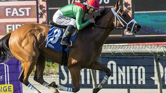 Garrity picks the Friday horses at Gulfstream Park, Tampa Bay Downs