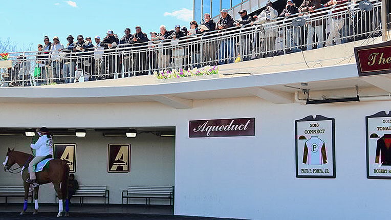 FREE Aqueduct Horse Racing Pick RT and SmartCap analyze Thursday's 7th