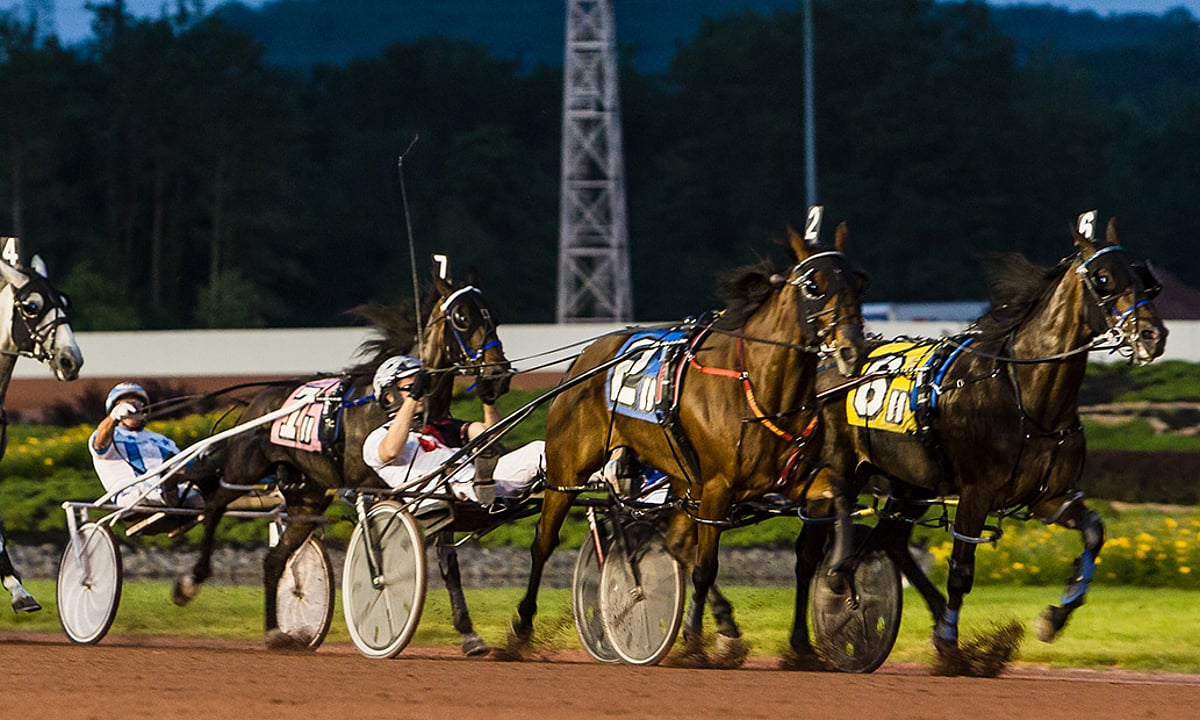 Harness Racing