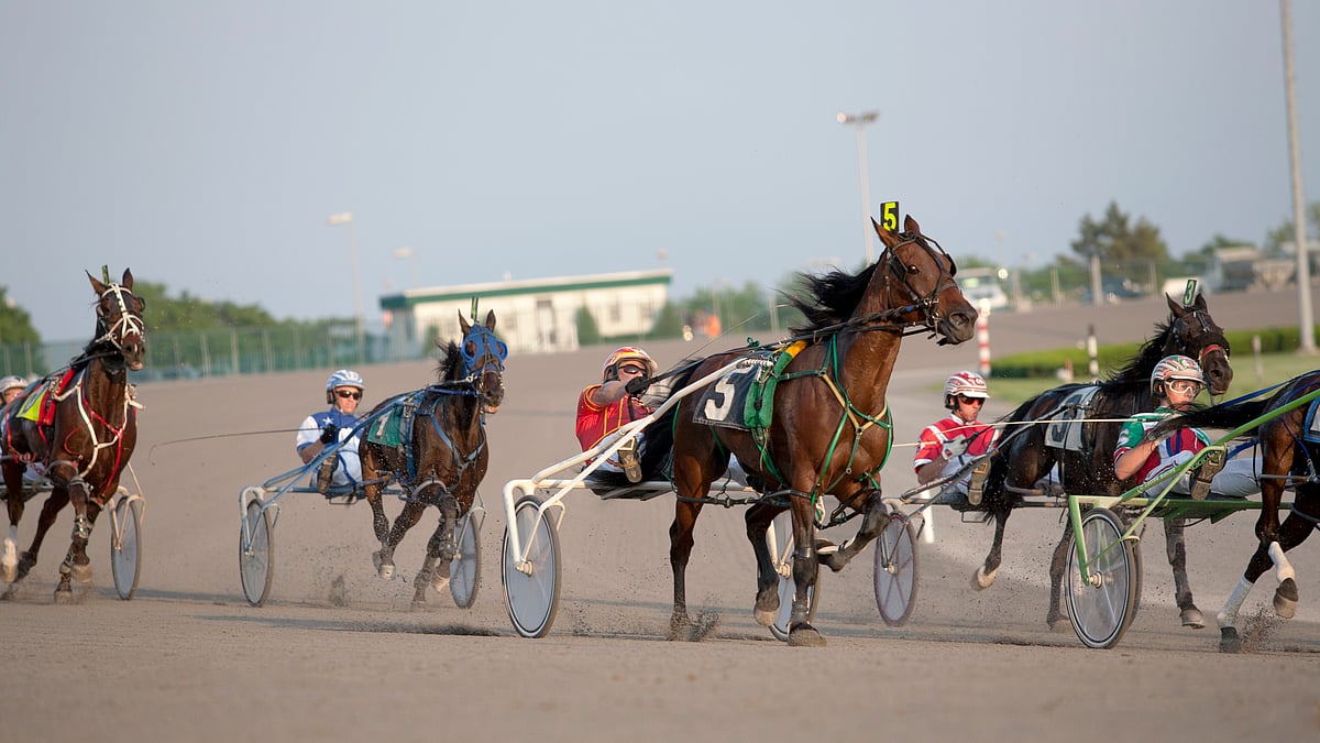 Harness Racing