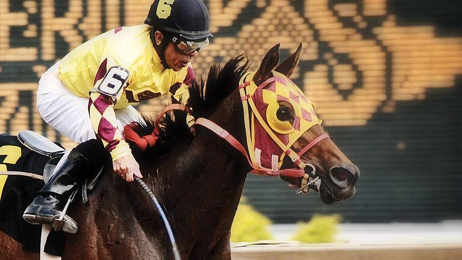 Thoroughbreds Monday RT picks the card at chilly Finger Lakes in upstate New York