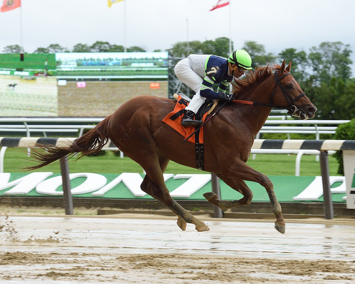 Memorial Day Horse Racing, Part 2 RT picks the Cross Country Pick 5