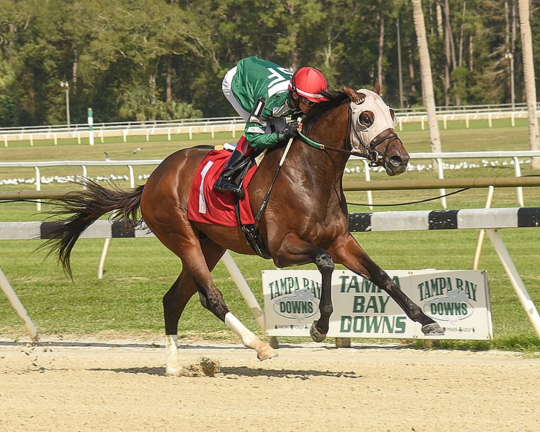 With three tracks to choose from, Garrity picks races from all — Tampa