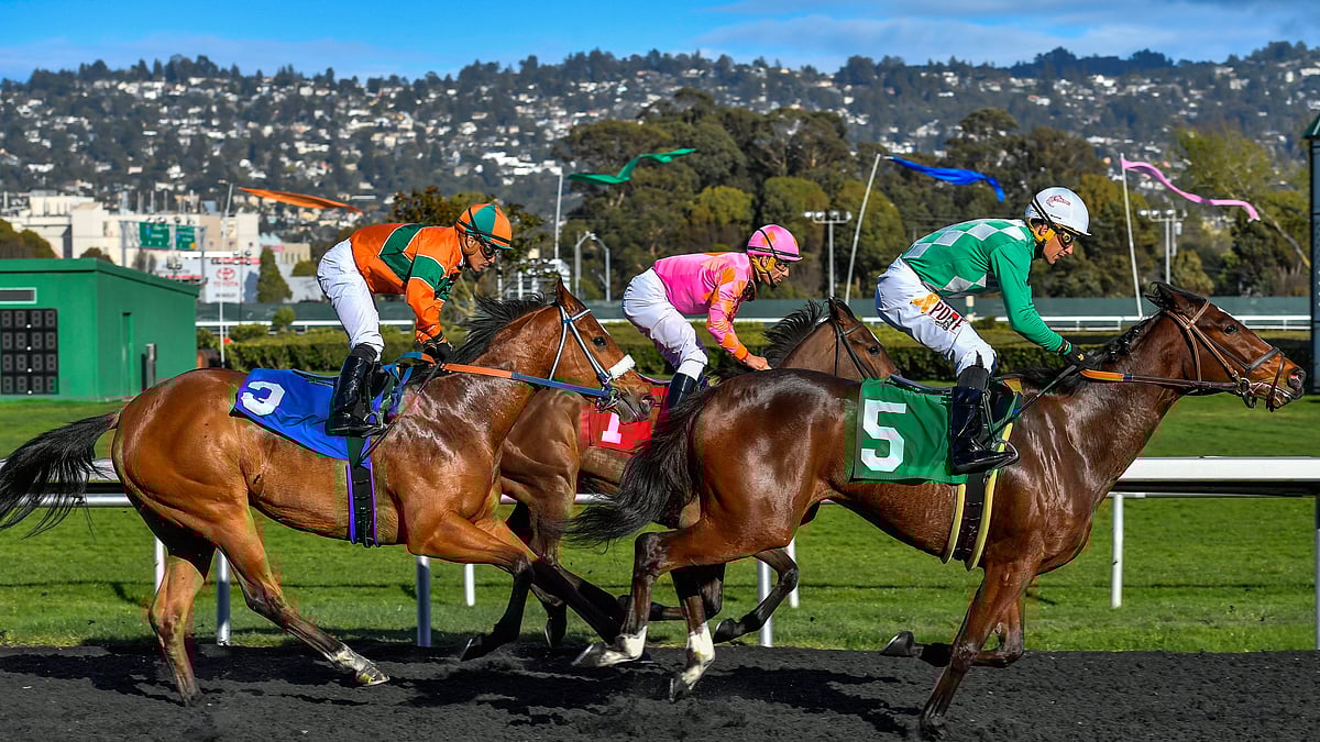 Garity's Saturday Stakes picks Oaklawn, Santa Anita's Santa Maria and