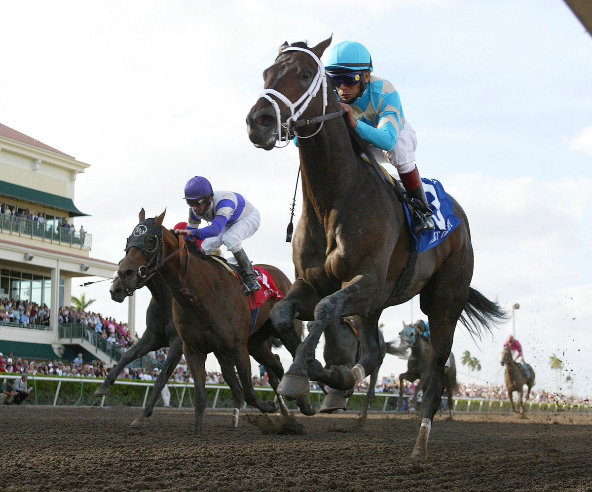 Thoroughbred Thursday Garrity picks the horses racing at Gulfstream