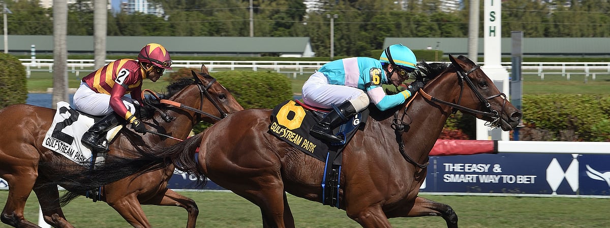 Horse Racing Sunday Garrity picks cards at Gulfstream Park, Tampa Bay