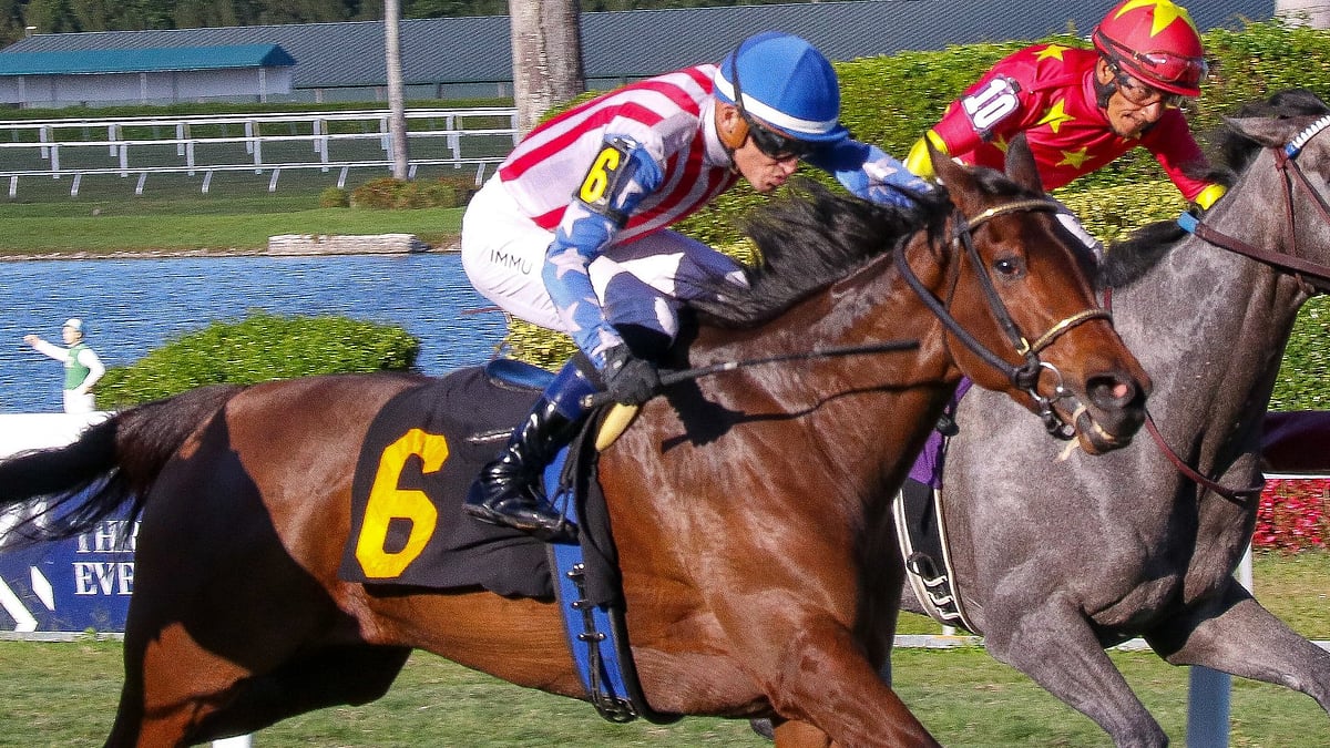 5 Thursday picks from Churchill Downs and Gulfstream Park