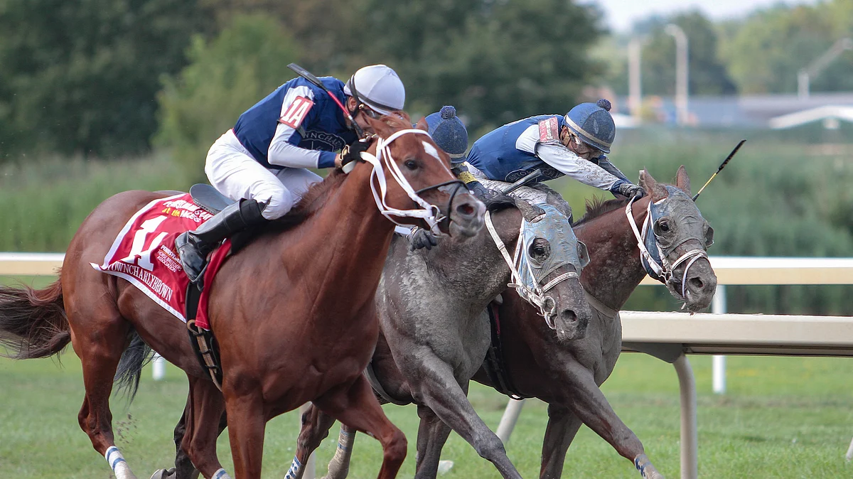 Monday at Parx Racing RT picks a trifecta and more on the 8th with the