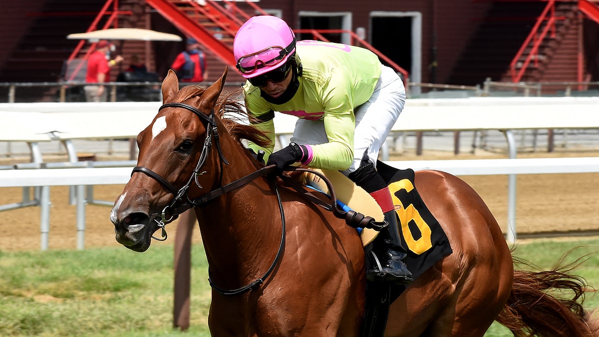 Garrity celebrates the unofficial end of summer with 5 stakes picks at