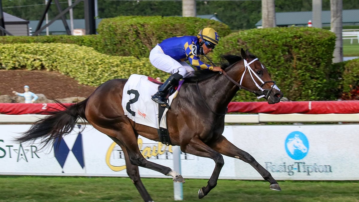 God's Tipster's Wednesday Gulfstream Park Pick The 9th is a midlevel