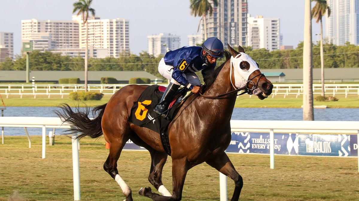 God's Tipster's Wednesday Gulfstream Park Pick The 7th is tough turf