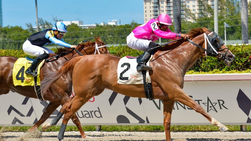 Memorial Day Horse Racing God's Tipster picks 5 races at Churchill