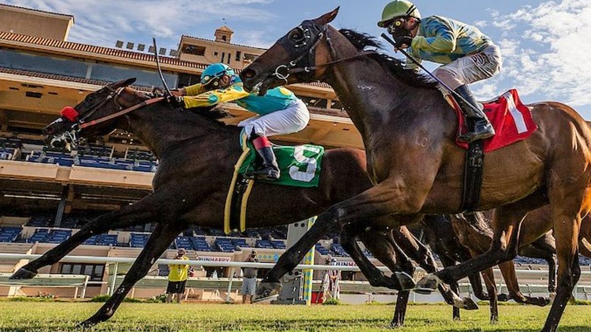 How to pick the best horse to bet on Speed, past performance, surface
