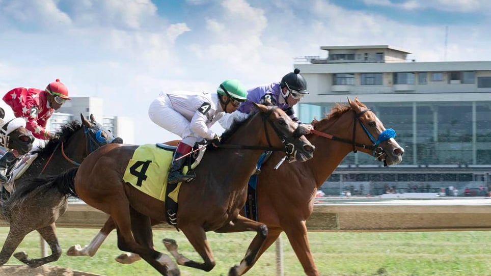 Maiden America Tuesday Hoop Tea's Hooptie Handicapper picks 2yo races