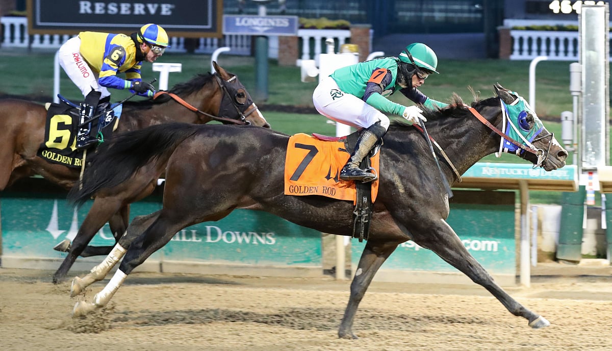 Sunday 11.28 Churchill Downs Picks & Aqueduct Picks God's Tipster