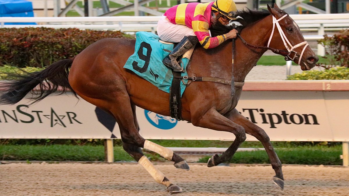 Friday Aqueduct Picks and Gulfstream Park Picks God's Tipster picks