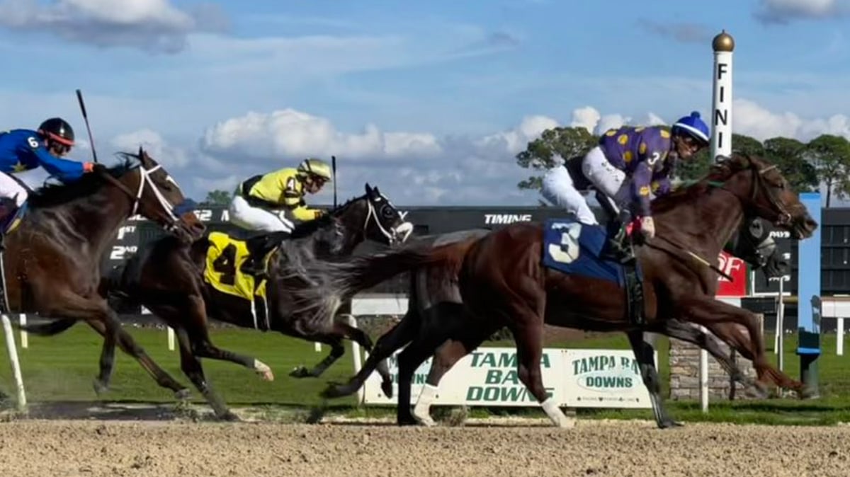 Maiden America Wednesday 12.22 Horse racing Picks for Tampa Bay Downs, Parx, Mahoning Valley