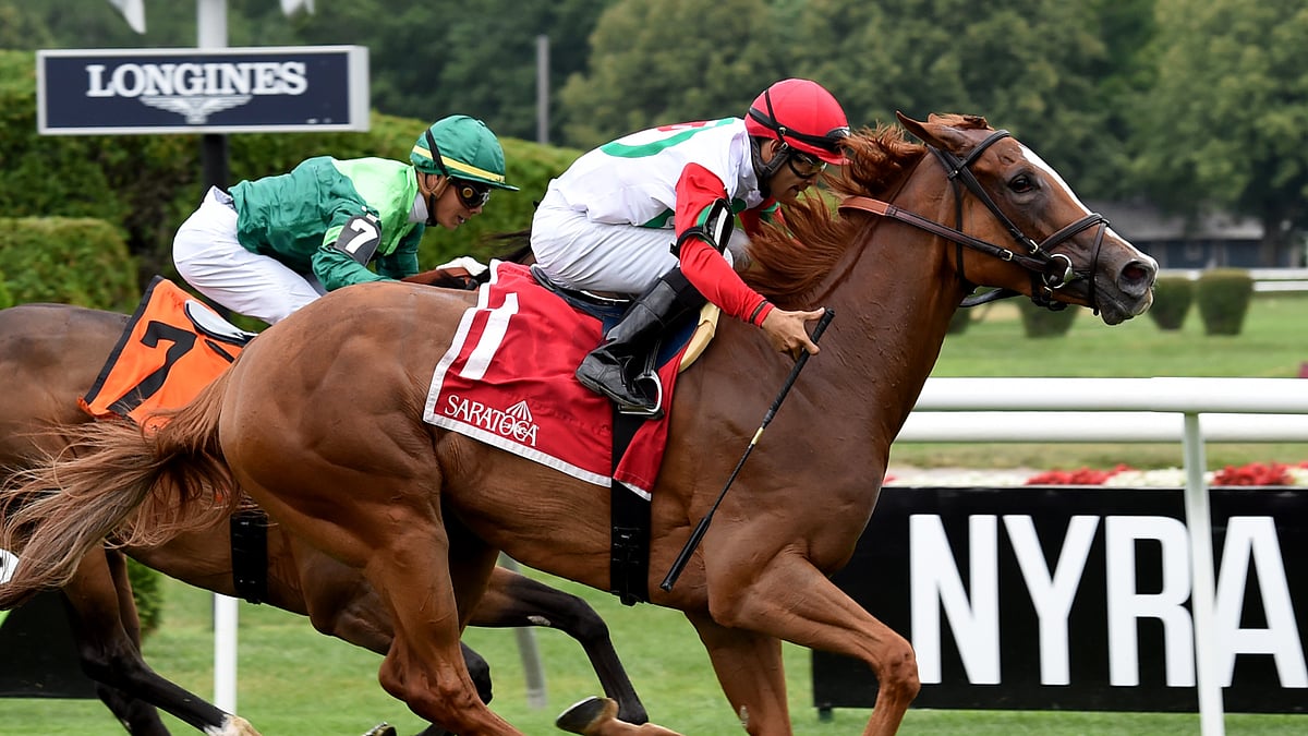 God's Tipster's Saturday Saratoga Picks 6 races, 3 Chad Brown runners