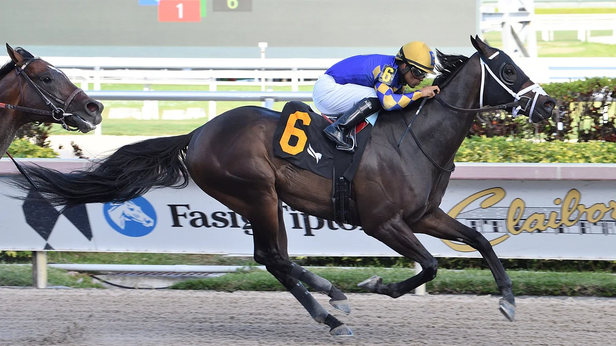 God #39 s Tipster #39 s Friday Gulfstream Park Pick: The 7th is allowance race