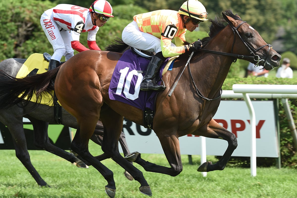 Garrity's Friday Stakes Picks 5 races from Pimlico Allaire Dupont