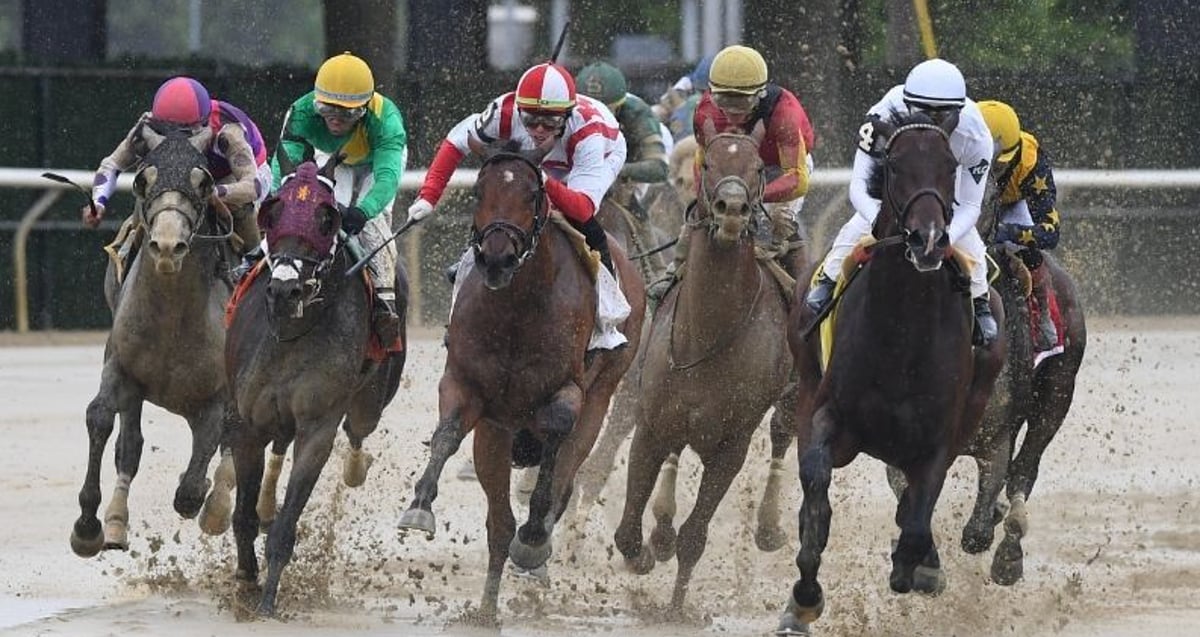 Boost Your Odds with Horse Racing Betting Exchange &ndash; A Winning Formula
