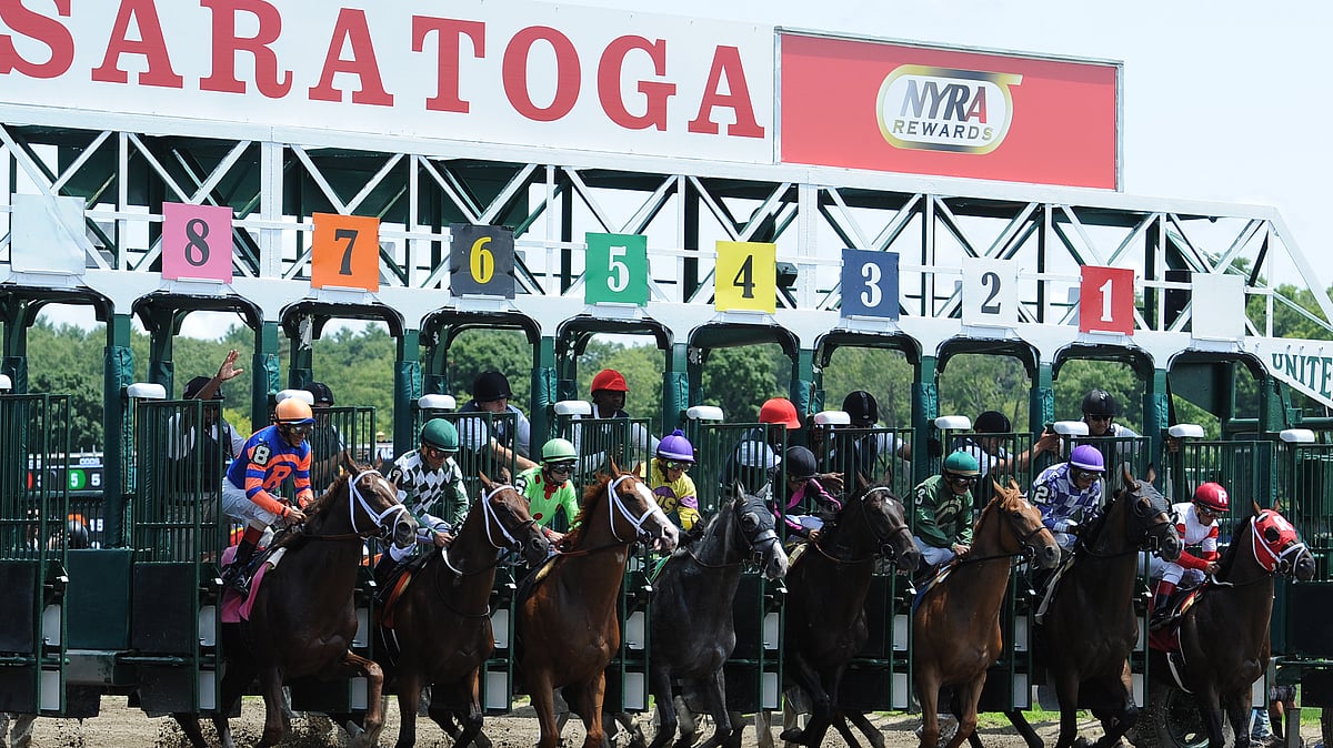 God's Tipster's Monday Saratoga Pick The 12th, a sprint for New York