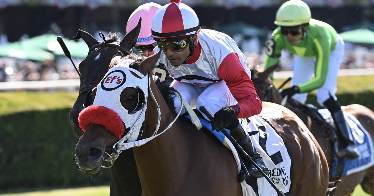 Turf Tipster Turf Tipster