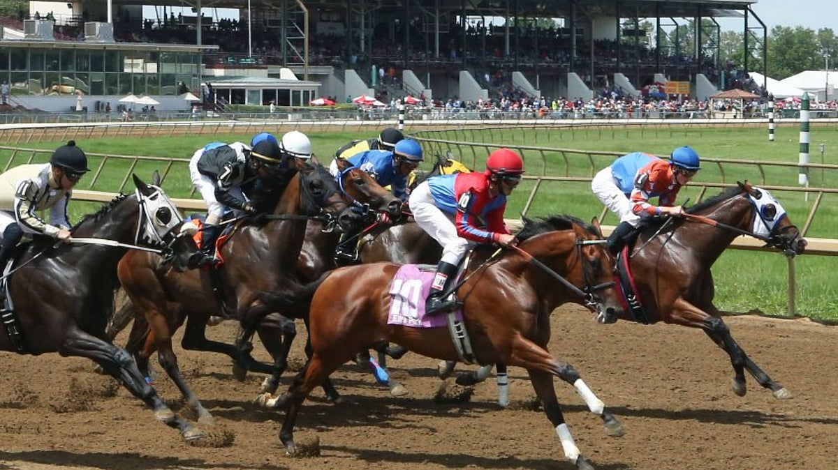 RT's Saturday Ellis Park Picks: Three mid-priced horses in the Early RT's Saturday Ellis Park Picks: Three mid-priced horses in the Early