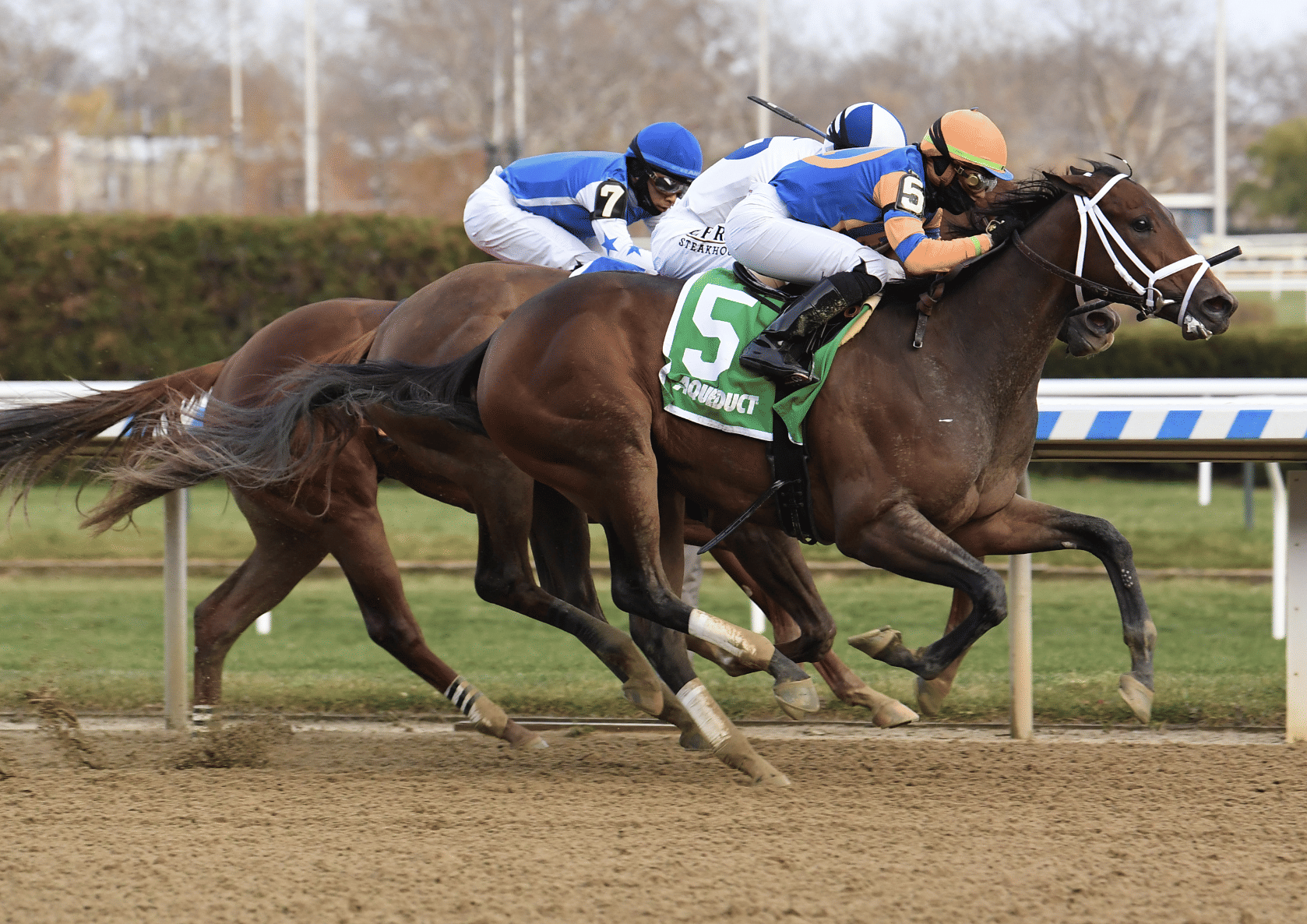 saratoga pick 5 today