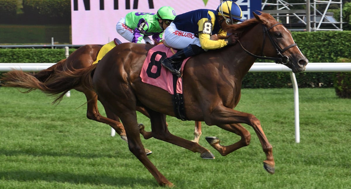 Garrity's Friday Dad's Hat Happy Hour Handicapping picks races at