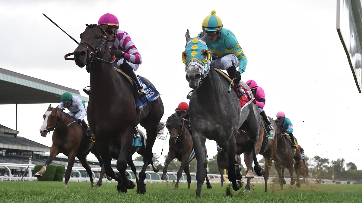 Garrity's Sunday Stakes picks the Futurity, Knickerbocker at Belmont at