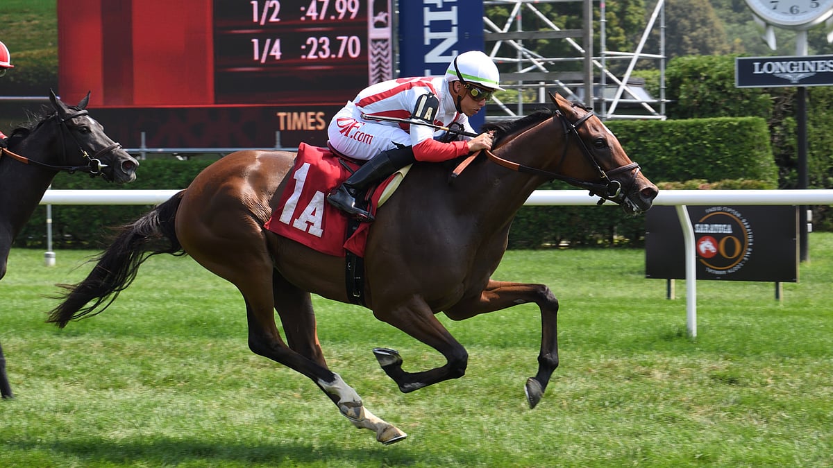 Garrity's Saturday Stakes picks races at Aqueduct, Keeneland and Far